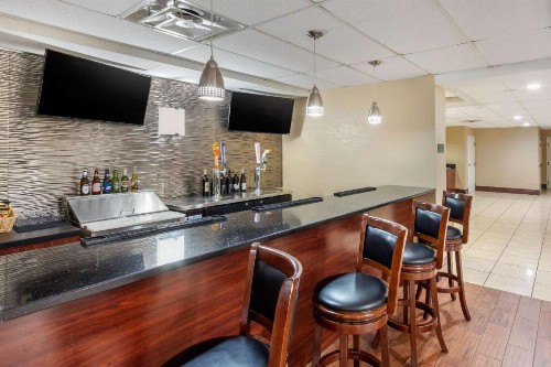 Comfort Inn St Petersburg North - image 42