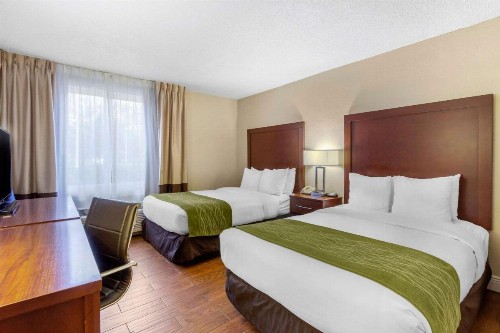Comfort Inn St Petersburg North - image 6
