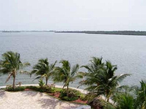 Boca Ciega Resort - image 9