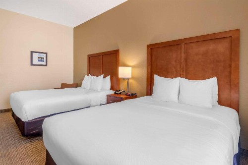 Comfort Inn & Suites Northeast - Gateway - image 11