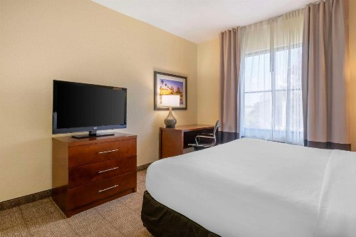 Comfort Inn & Suites Northeast - Gateway - image 12