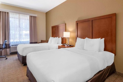 Comfort Inn & Suites Northeast - Gateway - image 19