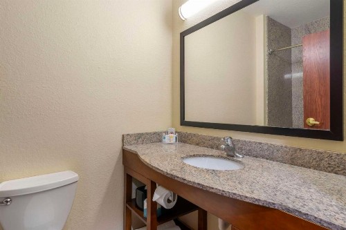 Comfort Inn & Suites Northeast - Gateway - image 22