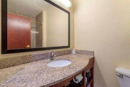 Comfort Inn & Suites Northeast - Gateway - image 23