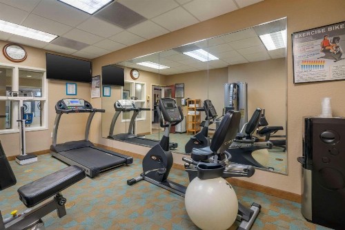 Comfort Inn & Suites Northeast - Gateway - image 34