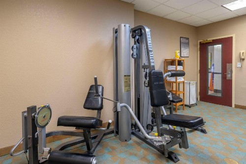 Comfort Inn & Suites Northeast - Gateway - image 35
