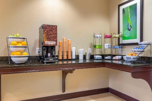 Comfort Inn & Suites Northeast - Gateway - image 39