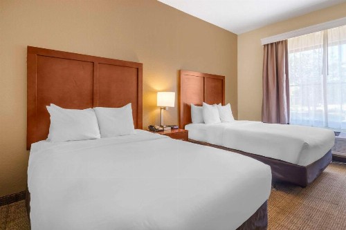 Comfort Inn & Suites Northeast - Gateway - image 8