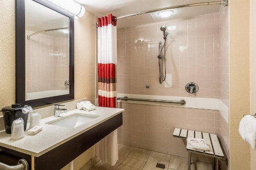 Red Roof Inn Tampa Bay - St. Petersburg - image 11