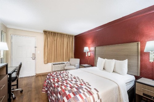 Red Roof Inn Tampa Bay - St. Petersburg - image 13