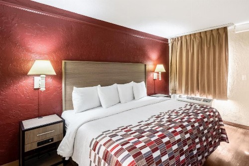 Red Roof Inn Tampa Bay - St. Petersburg - image 14