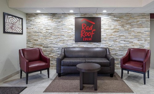 Red Roof Inn Tampa Bay - St. Petersburg - image 16