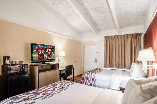 Red Roof Inn Tampa Bay - St. Petersburg - image 19
