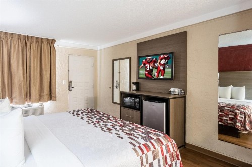 Red Roof Inn Tampa Bay - St. Petersburg - image 20