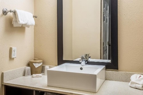 Red Roof Inn Tampa Bay - St. Petersburg - image 27