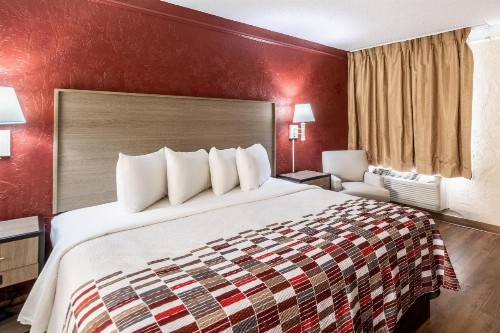 Red Roof Inn Tampa Bay - St. Petersburg - image 28
