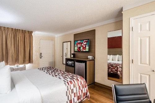 Red Roof Inn Tampa Bay - St. Petersburg - image 29