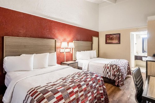 Red Roof Inn Tampa Bay - St. Petersburg - image 32
