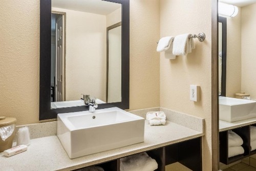 Red Roof Inn Tampa Bay - St. Petersburg - image 9
