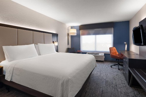 Holiday Inn Express St. Petersburg North / I-275 an IHG Hotel - image 12
