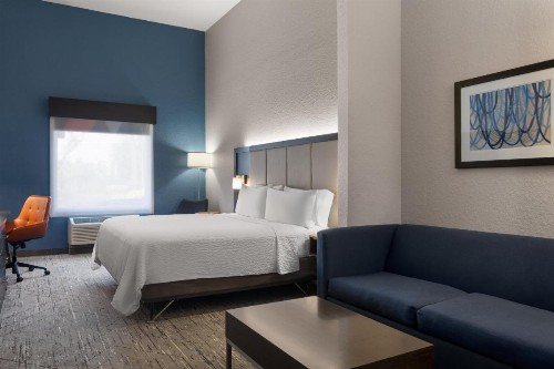 Holiday Inn Express St. Petersburg North / I-275 an IHG Hotel - image 16