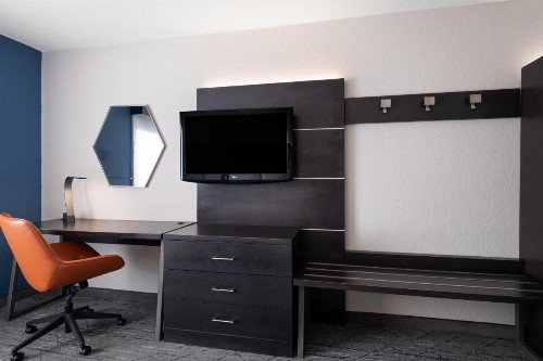 Holiday Inn Express St. Petersburg North / I-275 an IHG Hotel - image 22