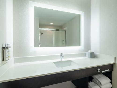 Holiday Inn Express St. Petersburg North / I-275 an IHG Hotel - image 35