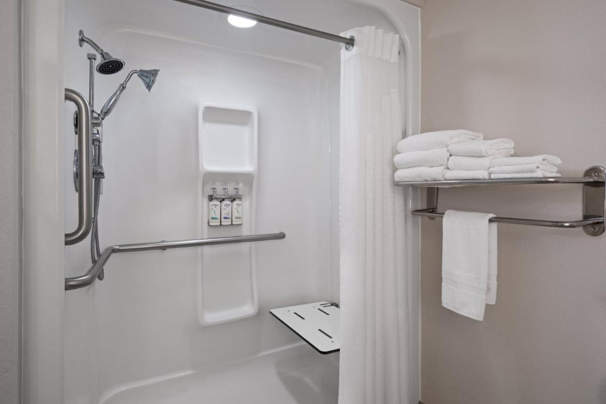 Holiday Inn Express St. Petersburg North / I-275 an IHG Hotel - image 6