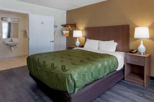 Quality Inn Saint Petersburg North-Tampa Bay - image 12