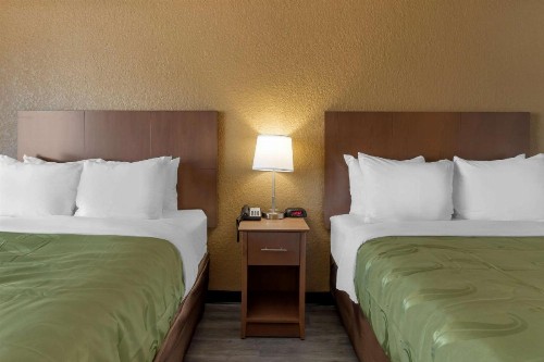 Quality Inn Saint Petersburg North-Tampa Bay - image 15