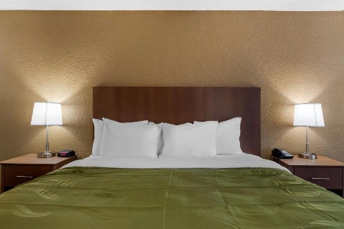 Quality Inn Saint Petersburg North-Tampa Bay - image 16