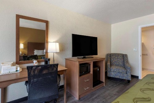 Quality Inn Saint Petersburg North-Tampa Bay - image 17