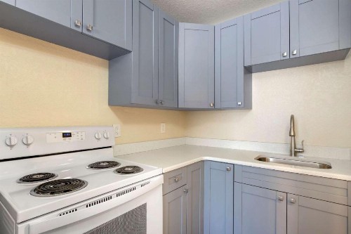 Quality Inn Saint Petersburg North-Tampa Bay - image 18