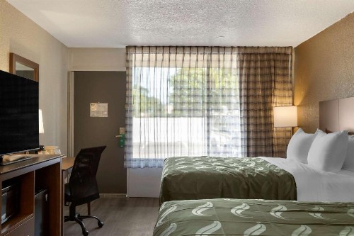 Quality Inn Saint Petersburg North-Tampa Bay - image 19