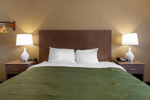 Quality Inn Saint Petersburg North-Tampa Bay - image 21