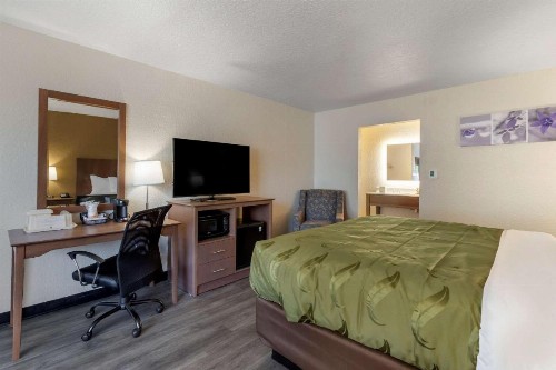 Quality Inn Saint Petersburg North-Tampa Bay - image 25