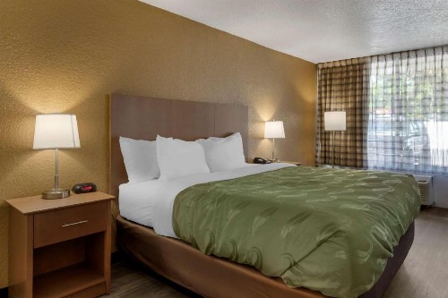 Quality Inn Saint Petersburg North-Tampa Bay - image 27