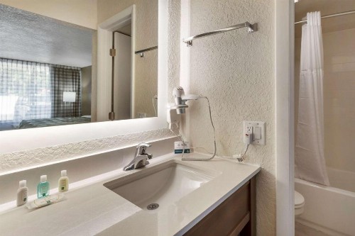 Quality Inn Saint Petersburg North-Tampa Bay - image 32