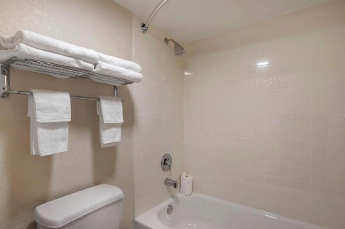 Quality Inn Saint Petersburg North-Tampa Bay - image 33