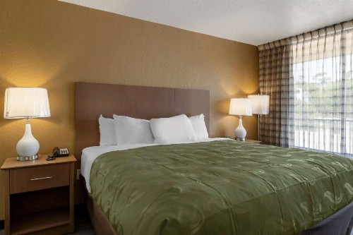 Quality Inn Saint Petersburg North-Tampa Bay - image 4
