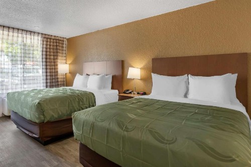 Quality Inn Saint Petersburg North-Tampa Bay - image 5