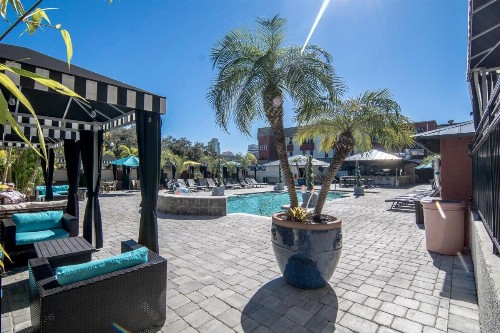 Hollander Hotel - Downtown St. Petersburg - image 6