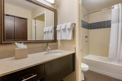 Staybridge Suites St. Petersburg FL an IHG Hotel - image 11