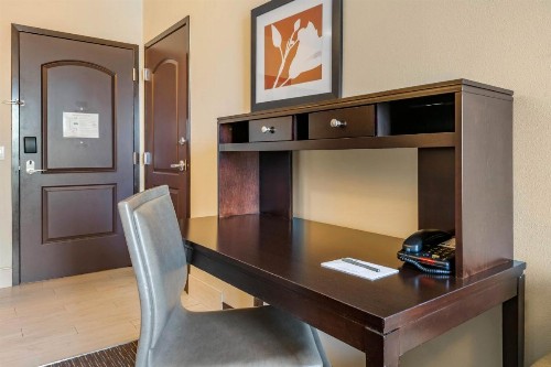 Staybridge Suites St. Petersburg FL an IHG Hotel - image 18