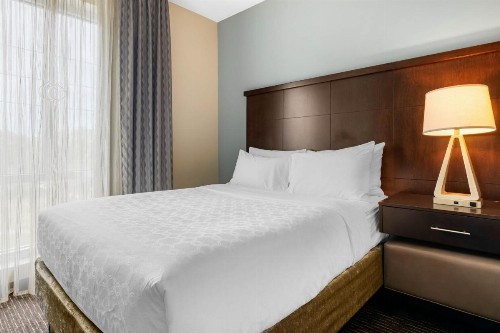 Staybridge Suites St. Petersburg FL an IHG Hotel - image 20