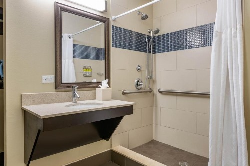 Staybridge Suites St. Petersburg FL an IHG Hotel - image 30