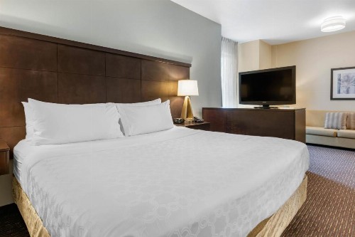 Staybridge Suites St. Petersburg FL an IHG Hotel - image 32