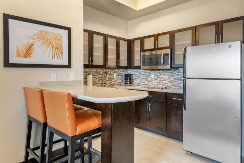 Staybridge Suites St. Petersburg FL an IHG Hotel - image 35