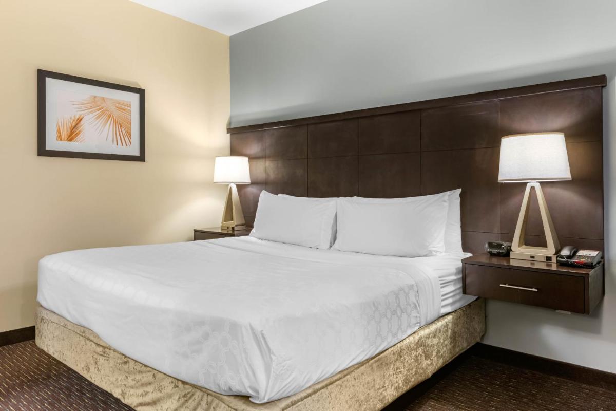 Staybridge Suites St. Petersburg FL an IHG Hotel - image 4