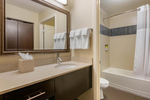 Staybridge Suites St. Petersburg FL an IHG Hotel - image 48